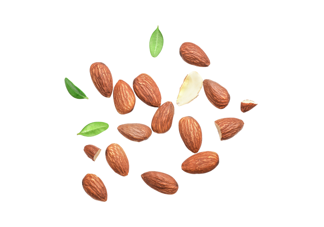 almonds close up