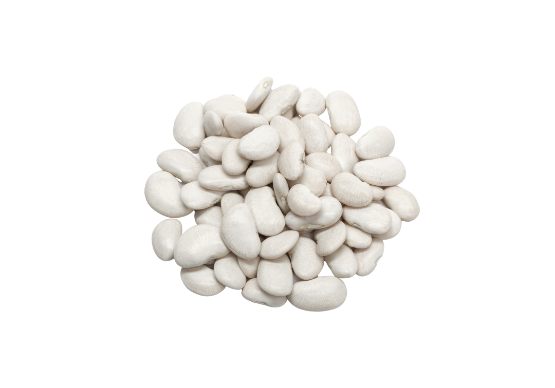 white bean extract close up