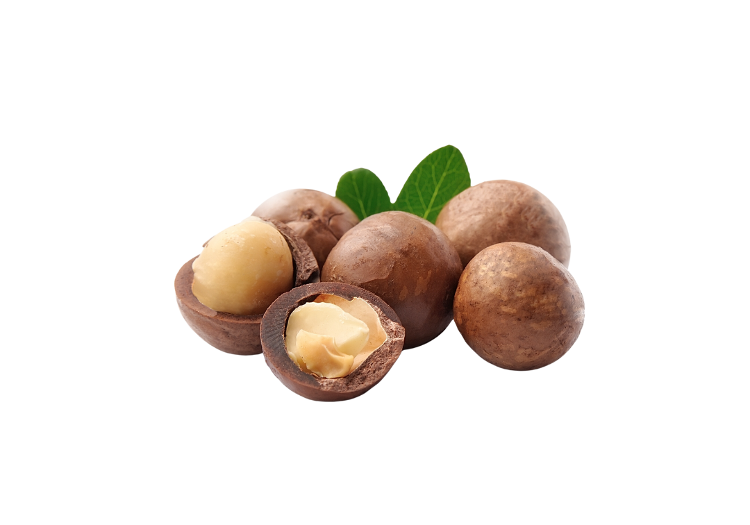 macadamia nuts close up