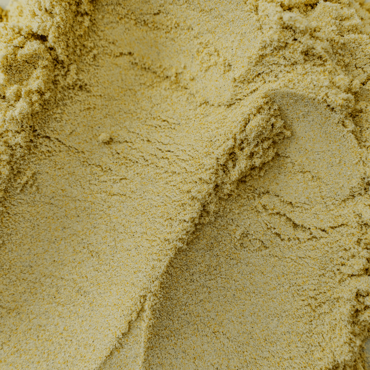 Daily Collagen close up - whey protein + collagen powder